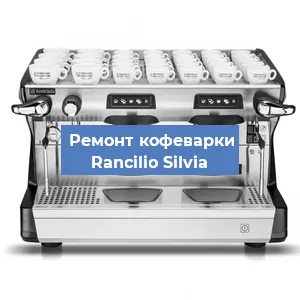 Чистка кофемашины Rancilio Silvia от кофейных масел в Нижнем Новгороде